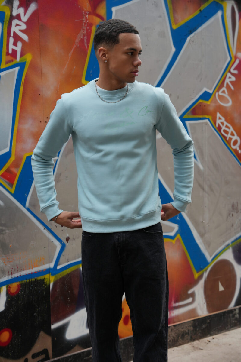 Mens Blue Jumper